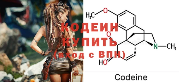 спиды Бородино
