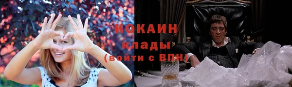 mdpv Богданович