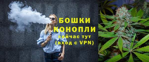 спиды Бородино
