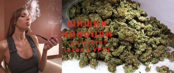 спиды Бородино