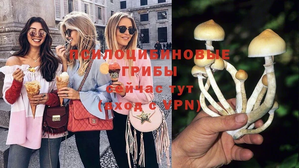 спиды Бородино