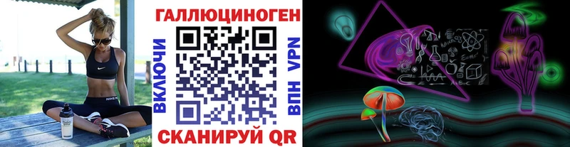 Псилоцибиновые грибы Psilocybe Брянск